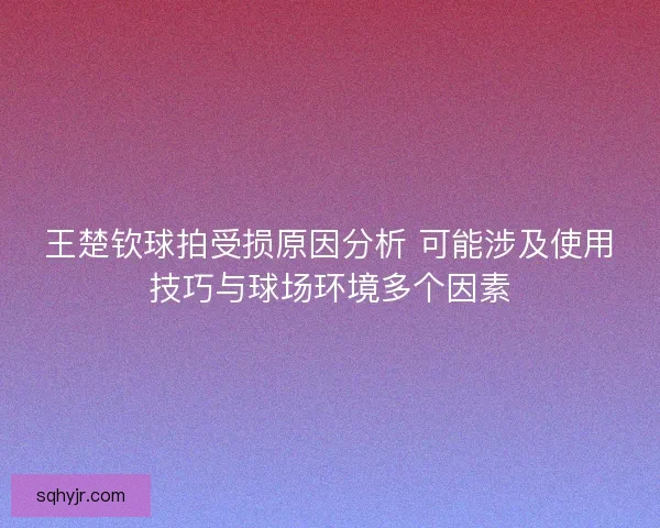 王楚钦球拍受损原因分析 可能涉及使用技巧与球场环境多个因素