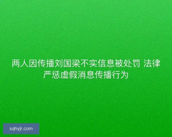 两人因传播刘国梁不实信息被处罚 法律严惩虚假消息传播行为