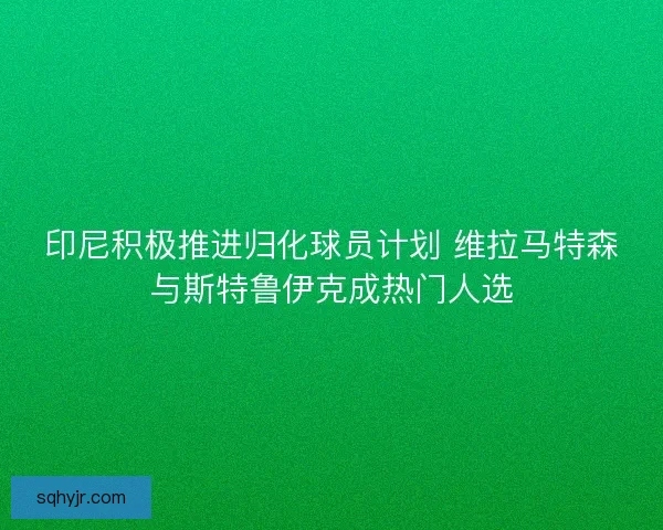 印尼积极推进归化球员计划 维拉马特森与斯特鲁伊克成热门人选